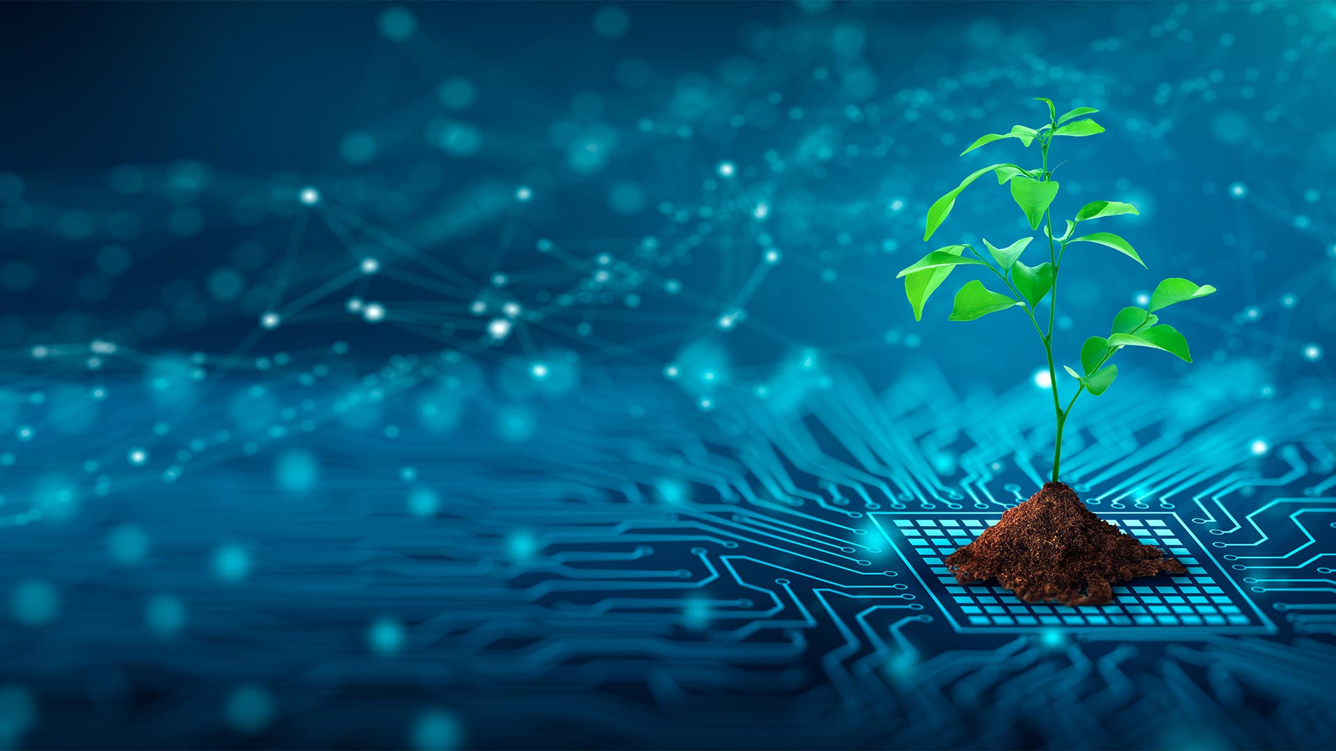 ecologica di Chiasso4net a Chiasso