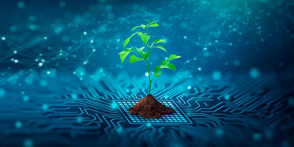 Pianta che cresce da una struttura digitale – simbolo della fibra ottica ecologica e della rete FTTH di Chiasso4net a Chiasso, Vacallo, Morbio Inferiore e Balerna